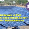Bạt Lót Hồ Tại Phú Giáo Tưới Sầu Riêng