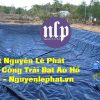 Bạt Nhựa HDPE Lót Ao Hồ Chứa Nước Tại Sóc Trăng