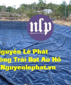 Bạt Nhựa HDPE Lót Ao Hồ Chứa Nước Tại Sóc Trăng