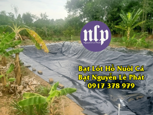 Bạt Lót Ao Hồ Chứa Nước Tưới Cây tại Trảng Bom, Đồng Nai