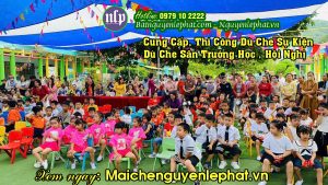 Dù Che Sân Trường Nha Trang, Vải Bạt Dù Căng 2 Mái Che Sân Trường Học tại Nha Trang