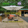 Dù cafe sân vườn